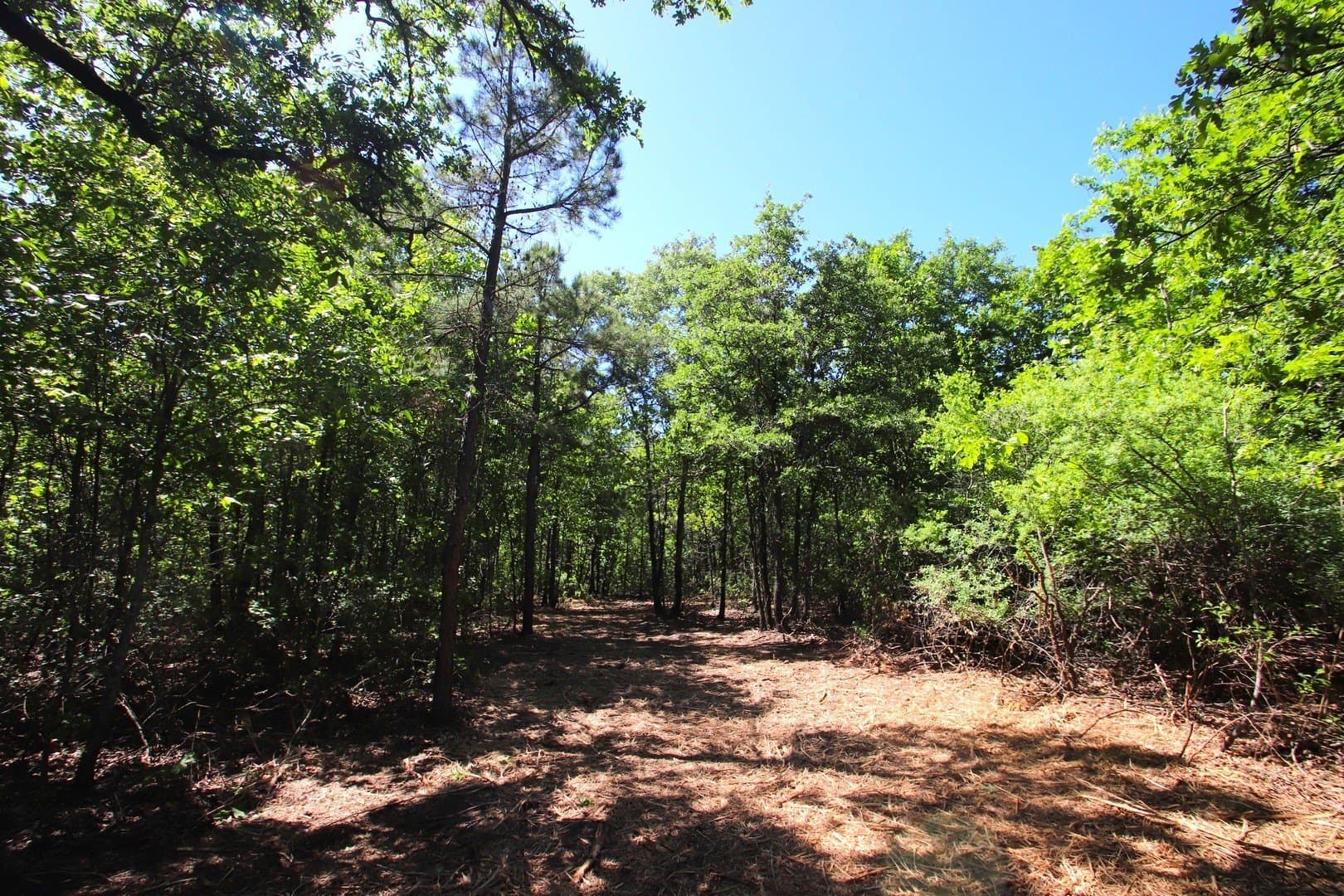 59.08 acres in Wood County - photo 18