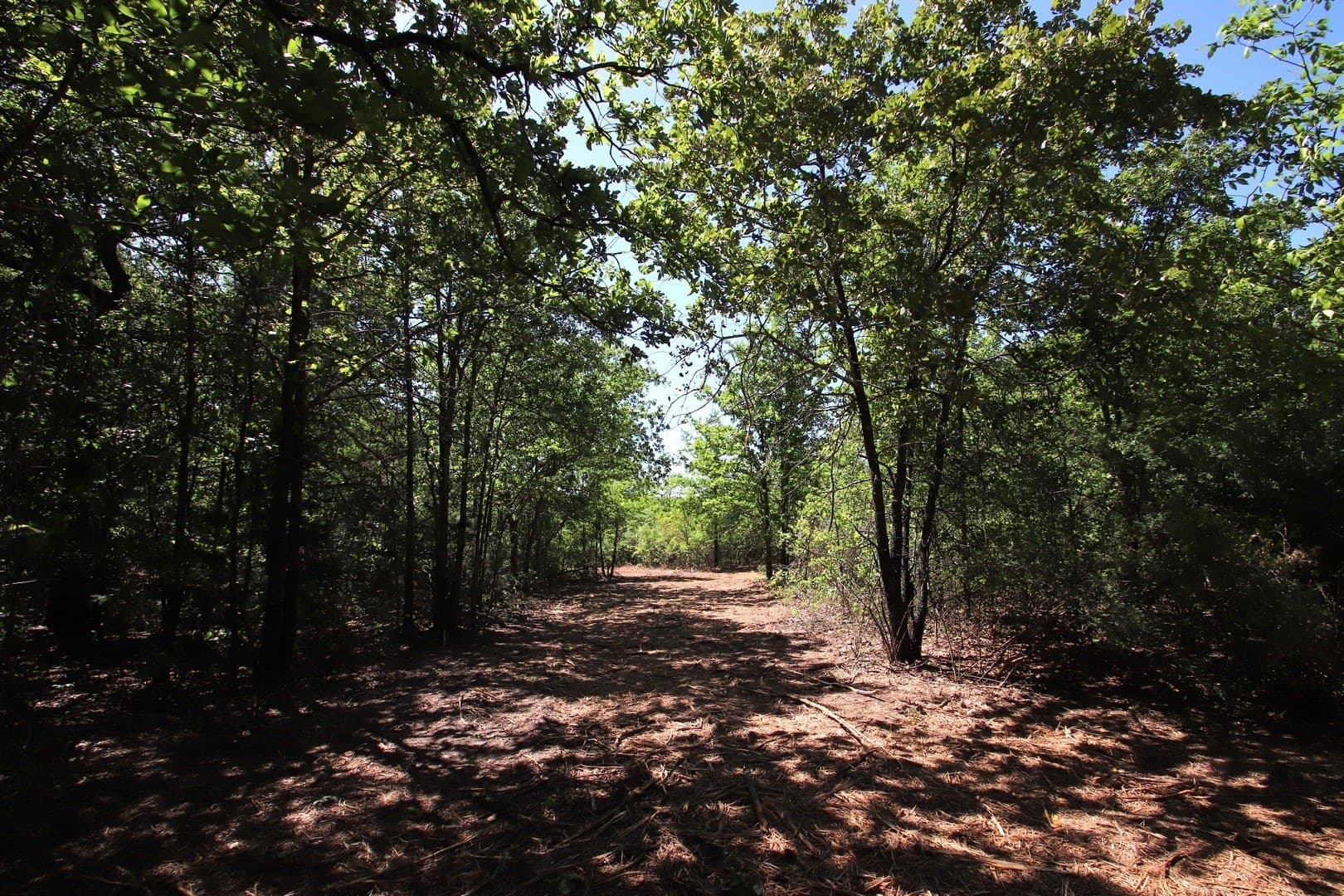 59.08 acres in Wood County - photo 22