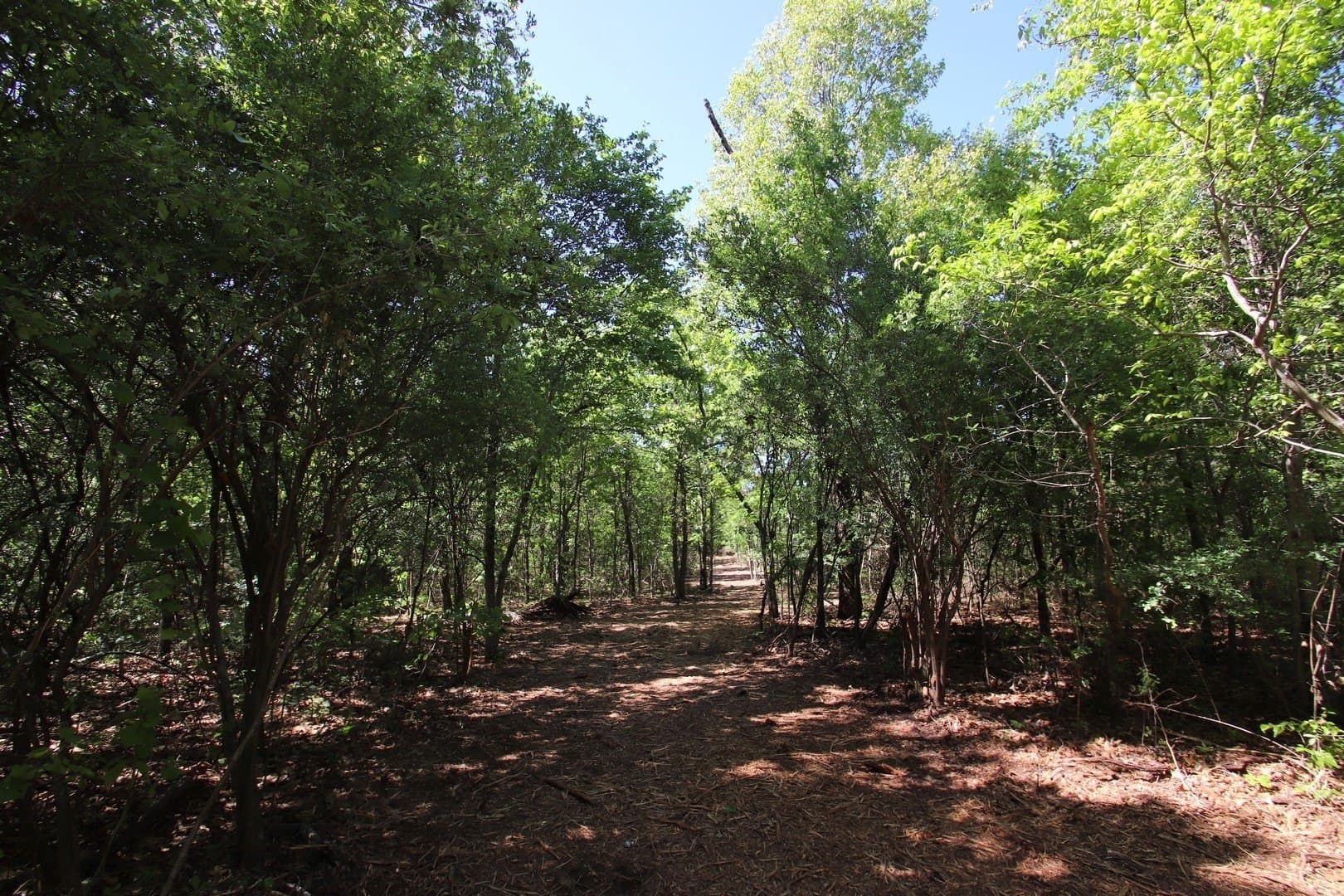 59.08 acres in Wood County - photo 15
