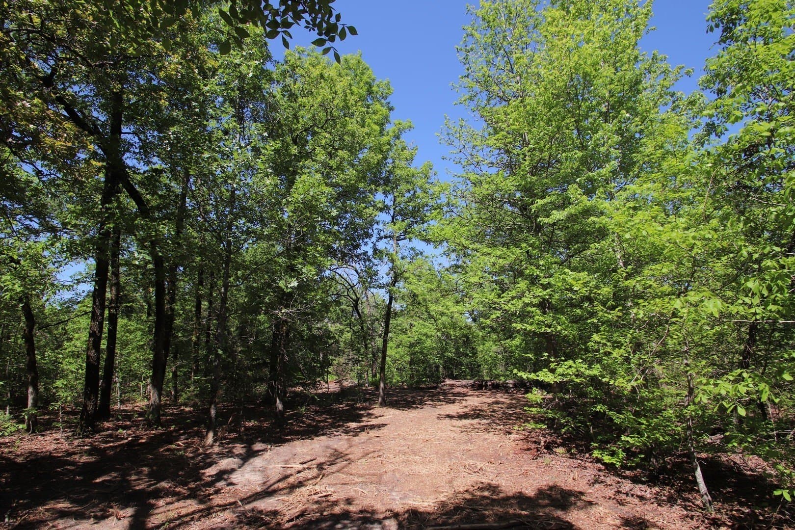 59.08 acres in Wood County - photo 11