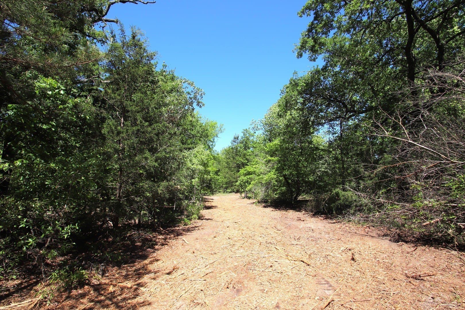 59.08 acres in Wood County gallery image 4