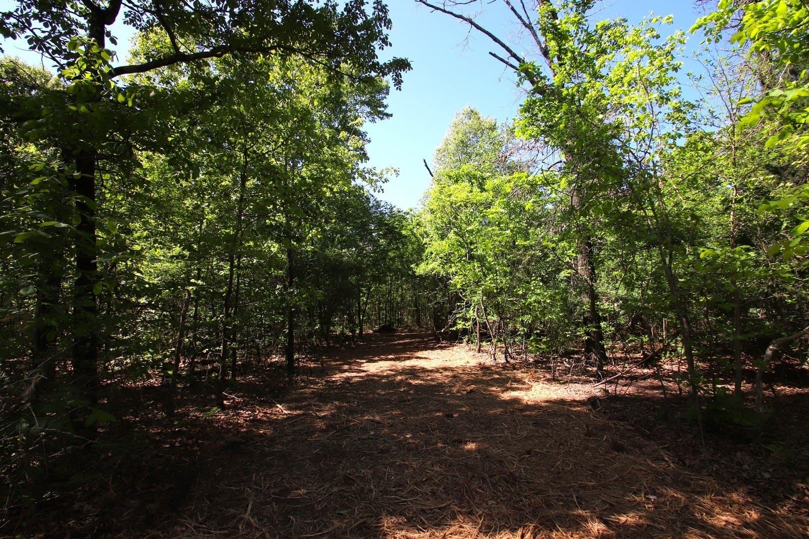 59.08 acres in Wood County - photo 14