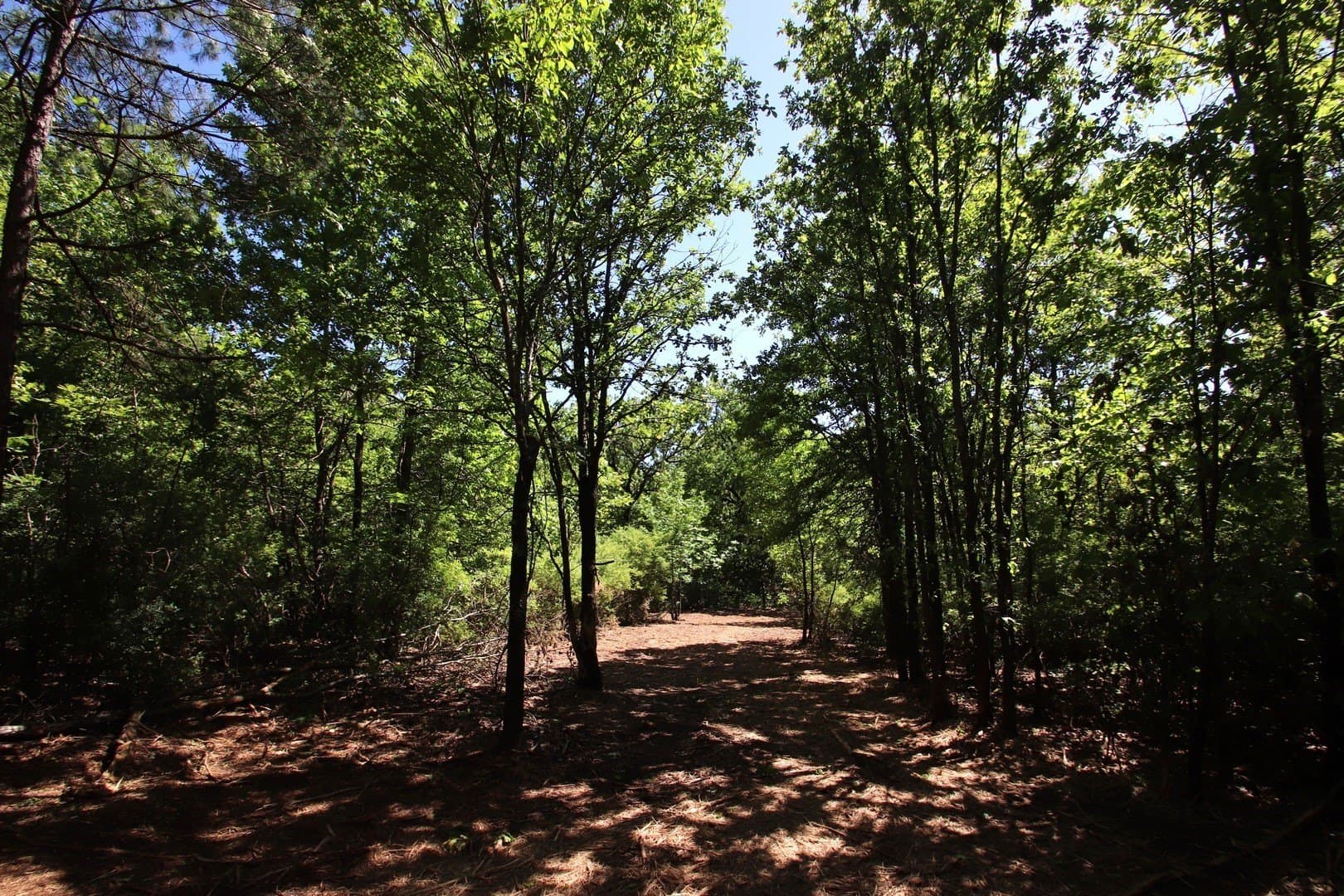 59.08 acres in Wood County - photo 20