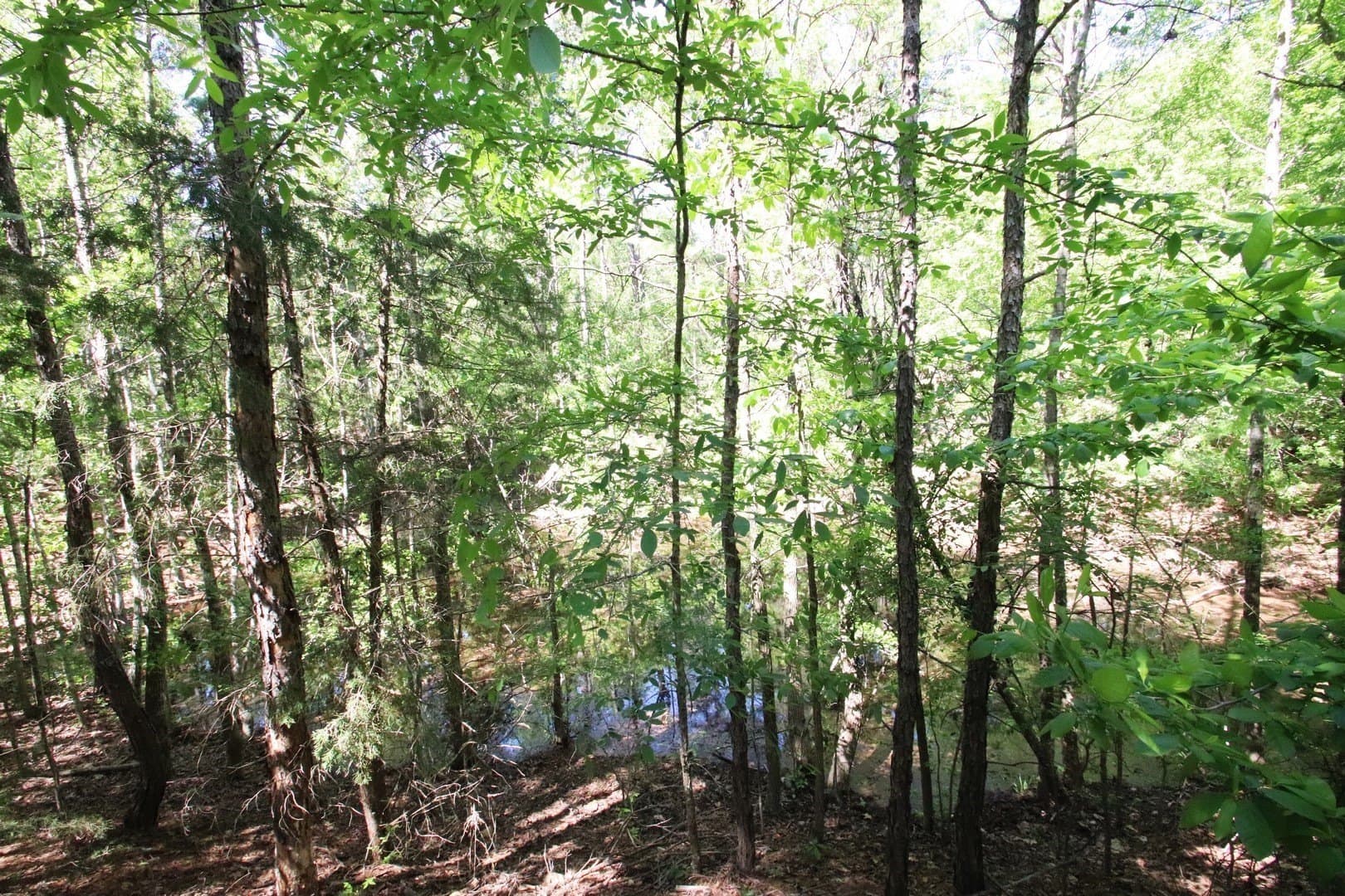59.08 acres in Wood County - photo 27