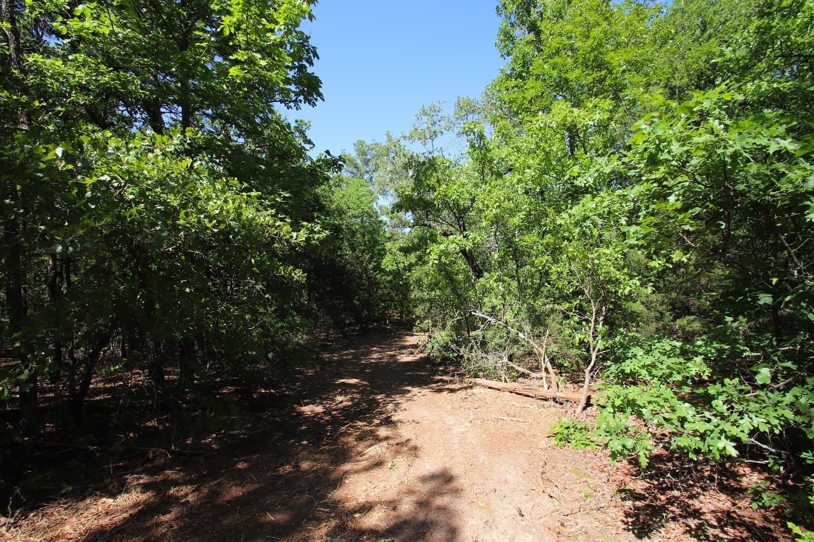 59.08 acres in Wood County - photo 25