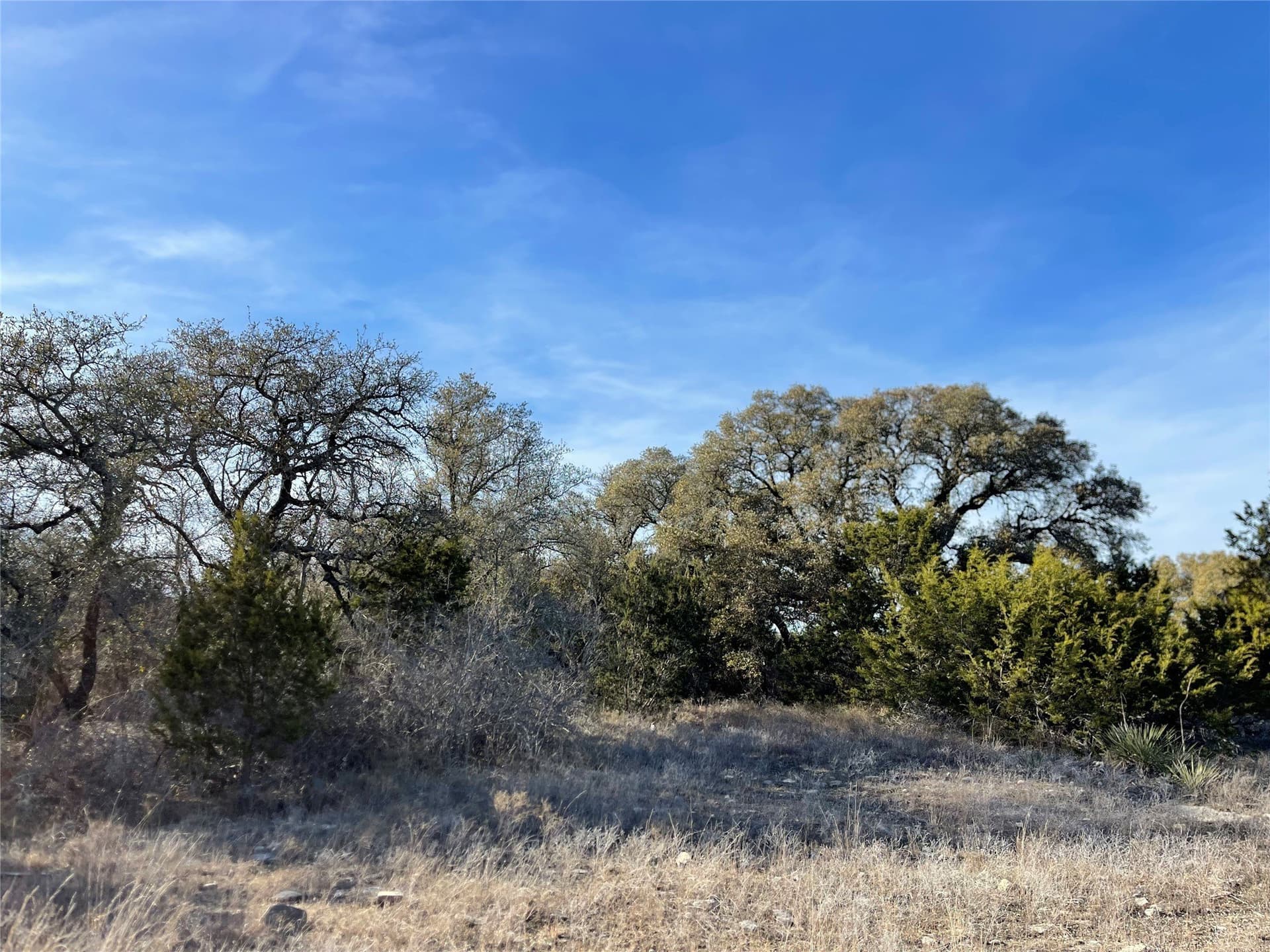 69.12 acres in Hamilton County - photo 23