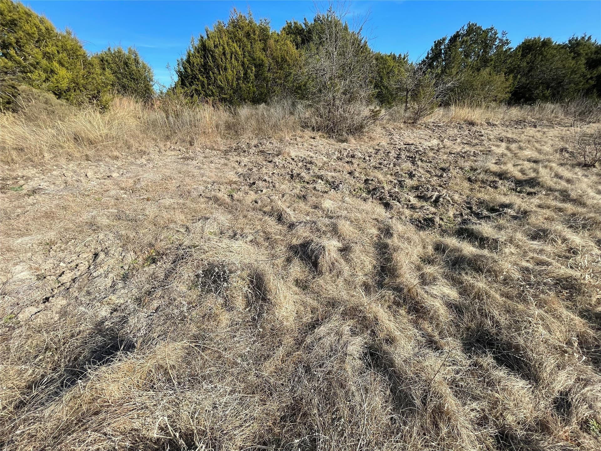 69.12 acres in Hamilton County - photo 27