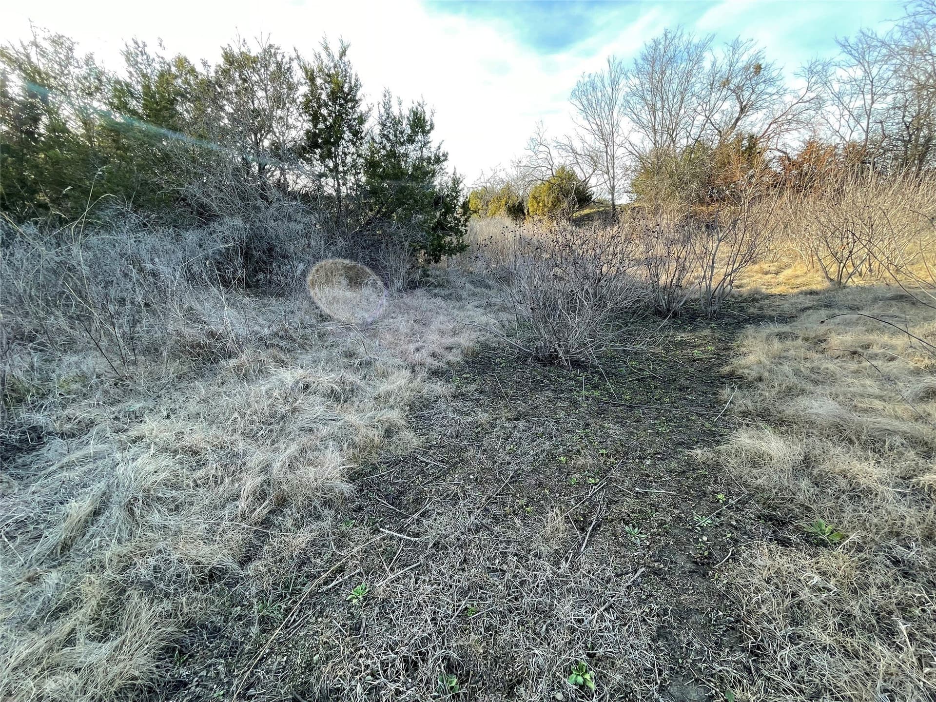 69.12 acres in Hamilton County - photo 30