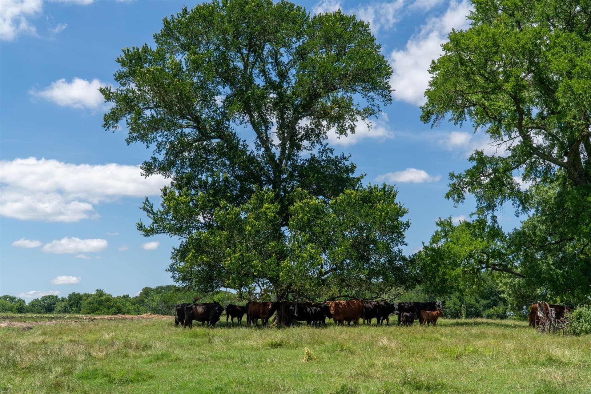 42.3 acres in Grayson County - photo 35