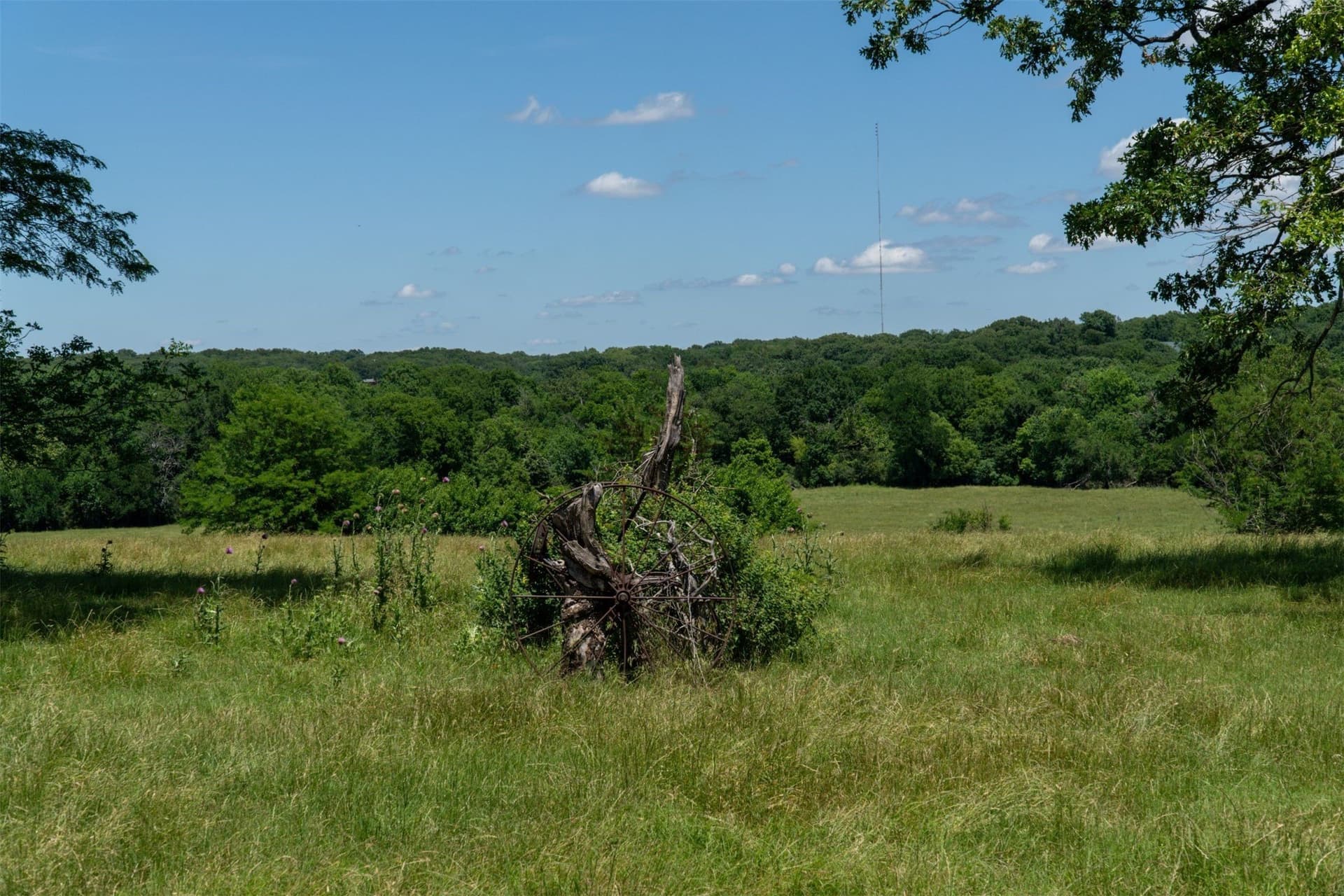 42.3 acres in Grayson County - photo 34