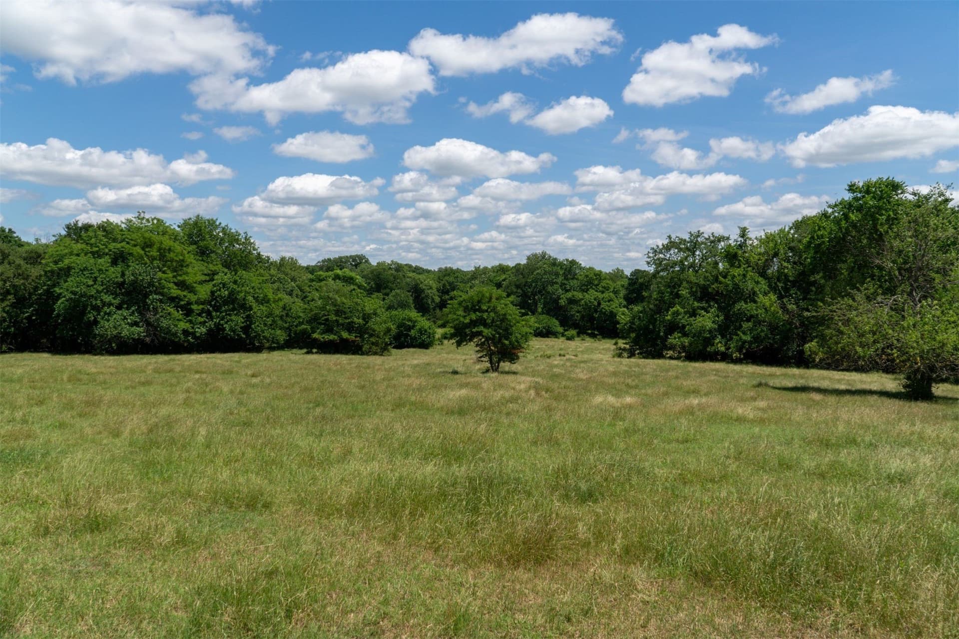 42.3 acres in Grayson County - photo 31