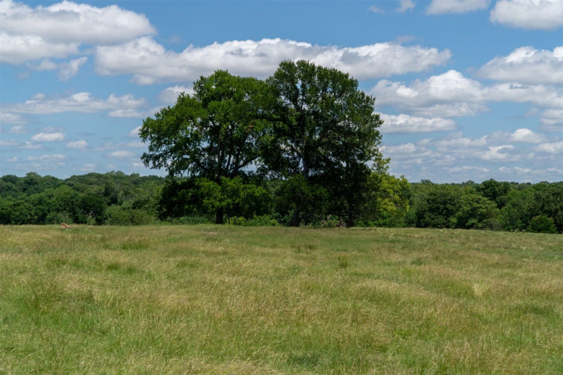42.3 acres in Grayson County - photo 38