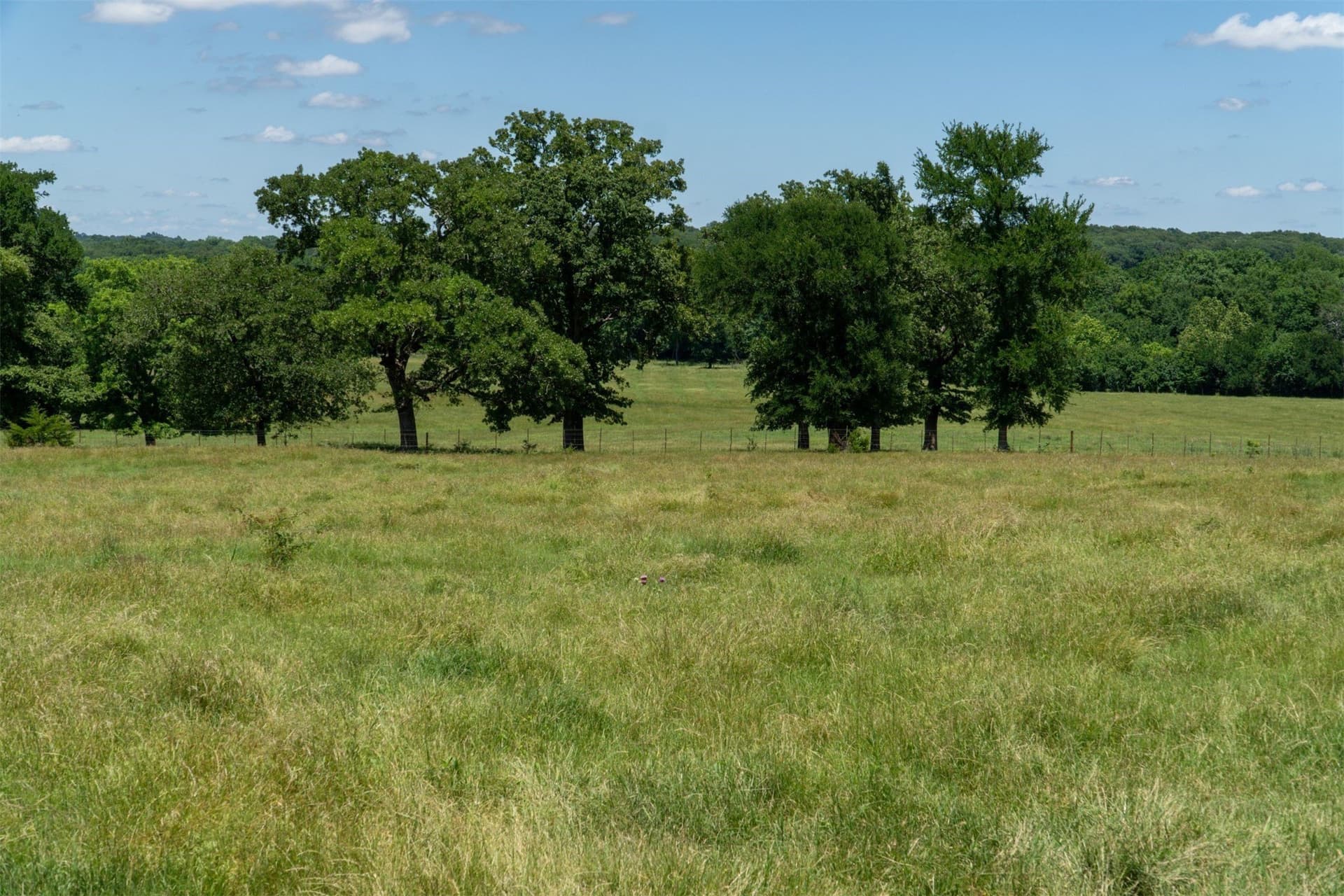 42.3 acres in Grayson County - photo 26
