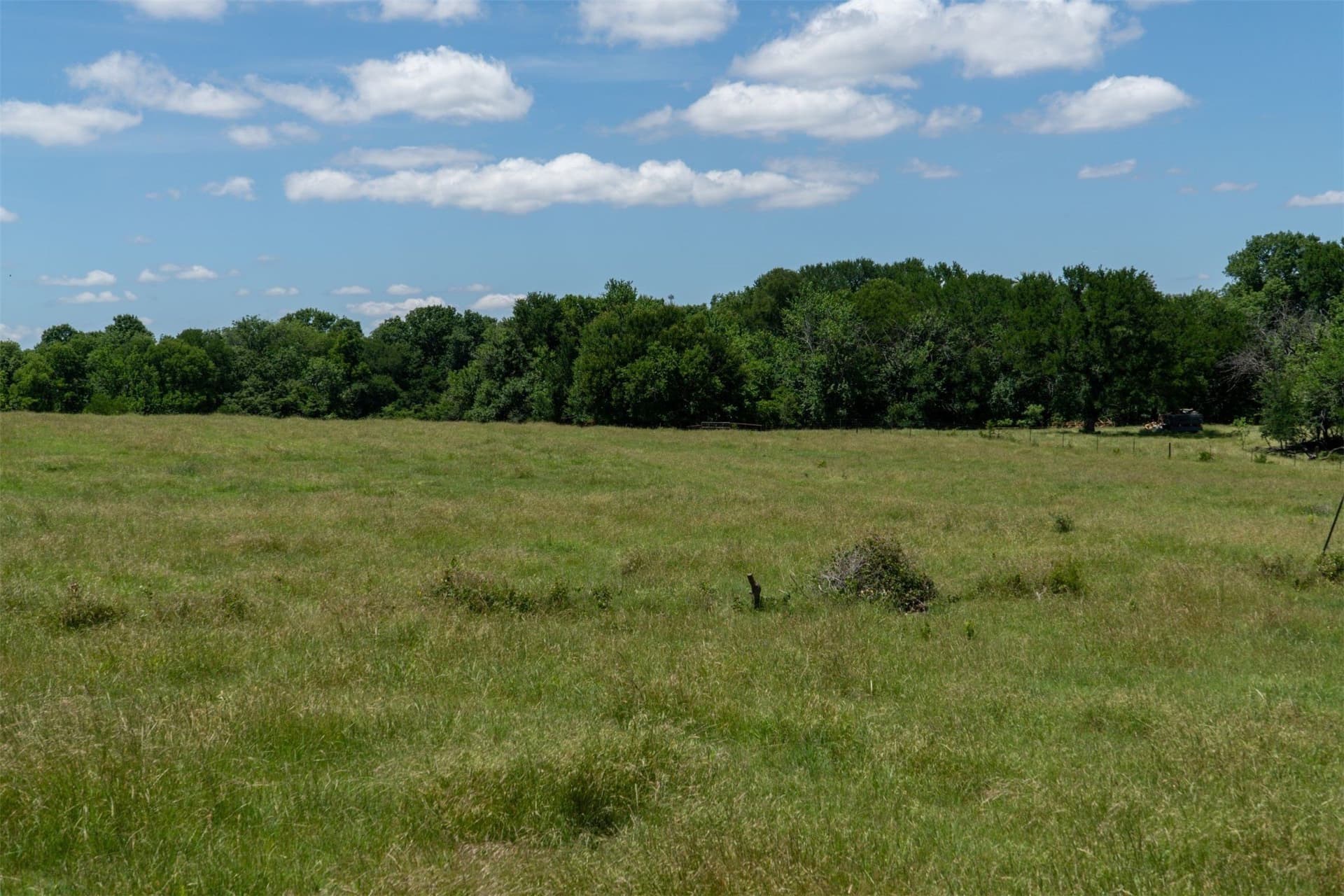 42.3 acres in Grayson County - photo 27