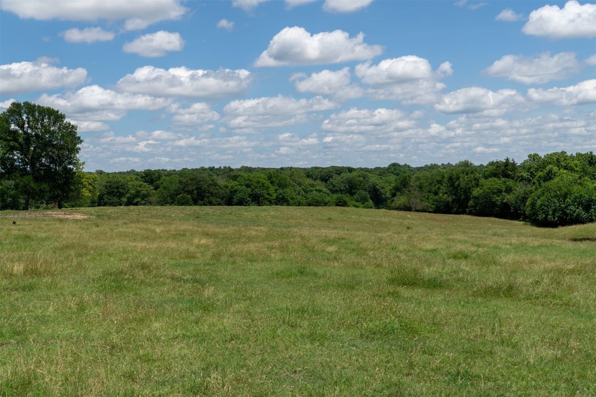 42.3 acres in Grayson County - photo 36