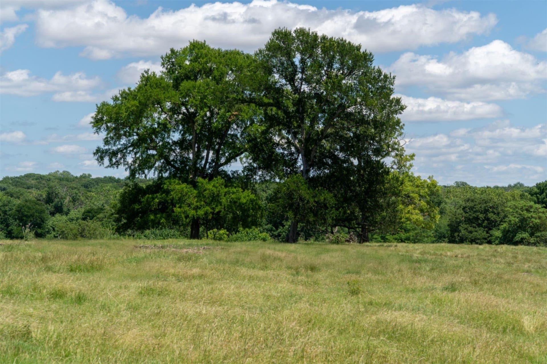 42.3 acres in Grayson County - photo 39