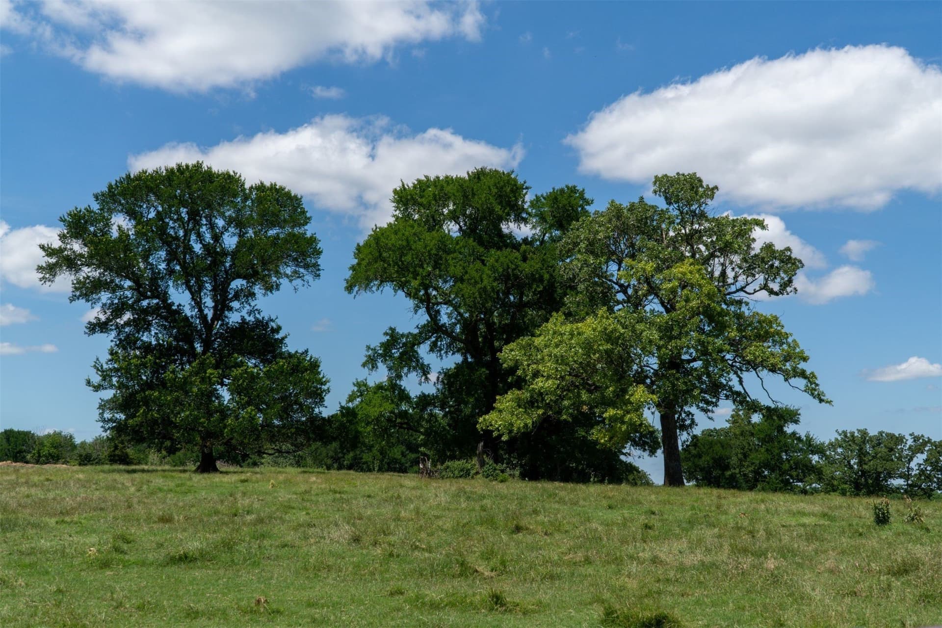42.3 acres in Grayson County - photo 30