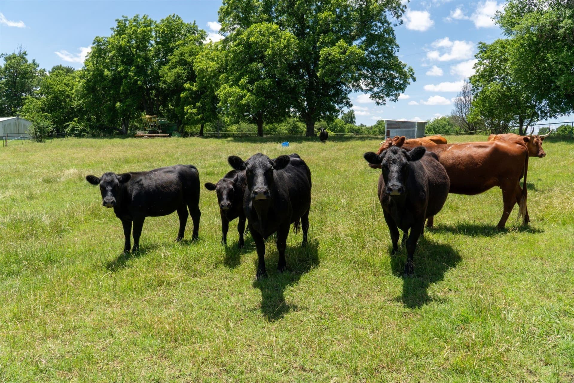 42.3 acres in Grayson County - photo 37