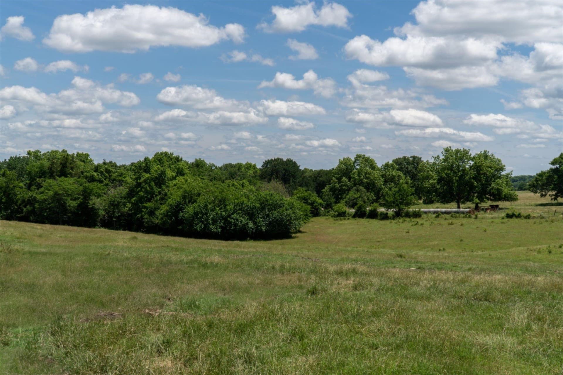 42.3 acres in Grayson County - photo 28