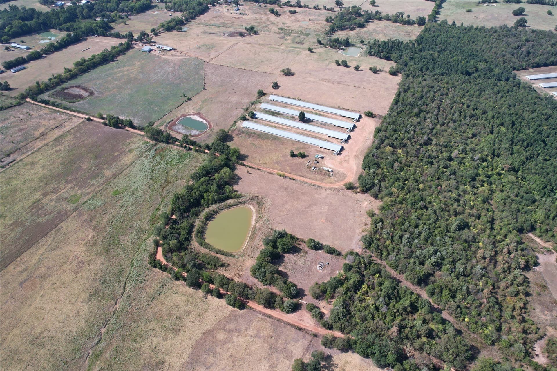 18.93 acres in Wood County - photo 6