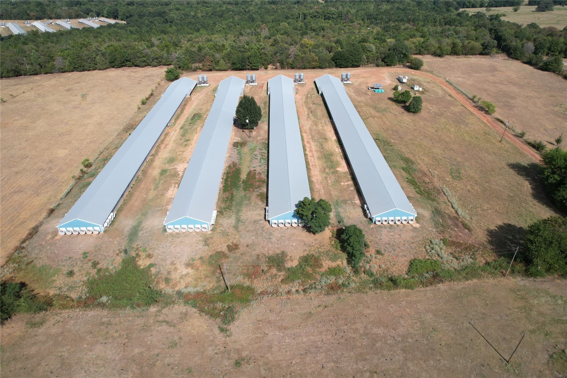 18.93 acres in Wood County - photo 13