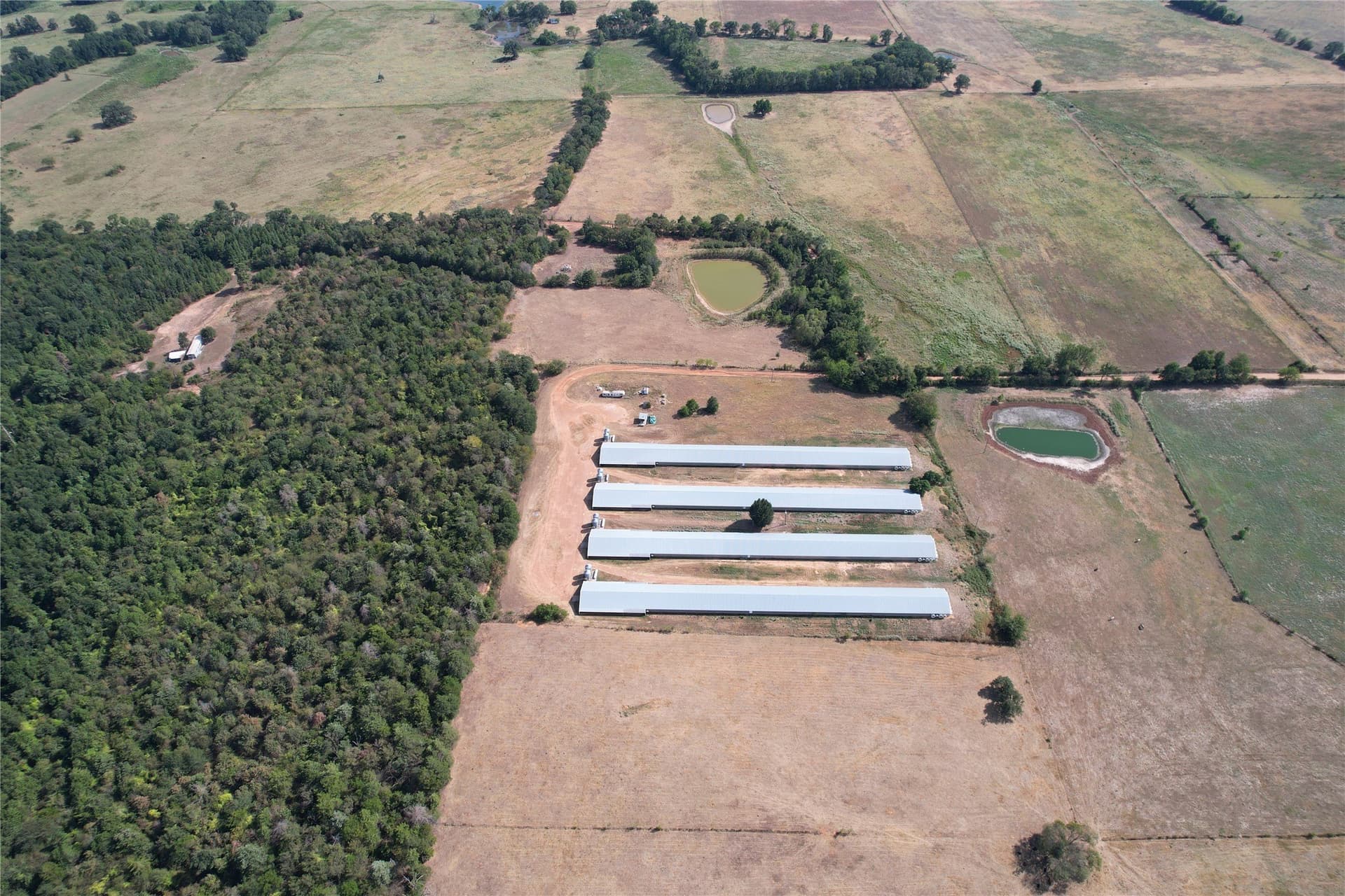 18.93 acres in Wood County - photo 10