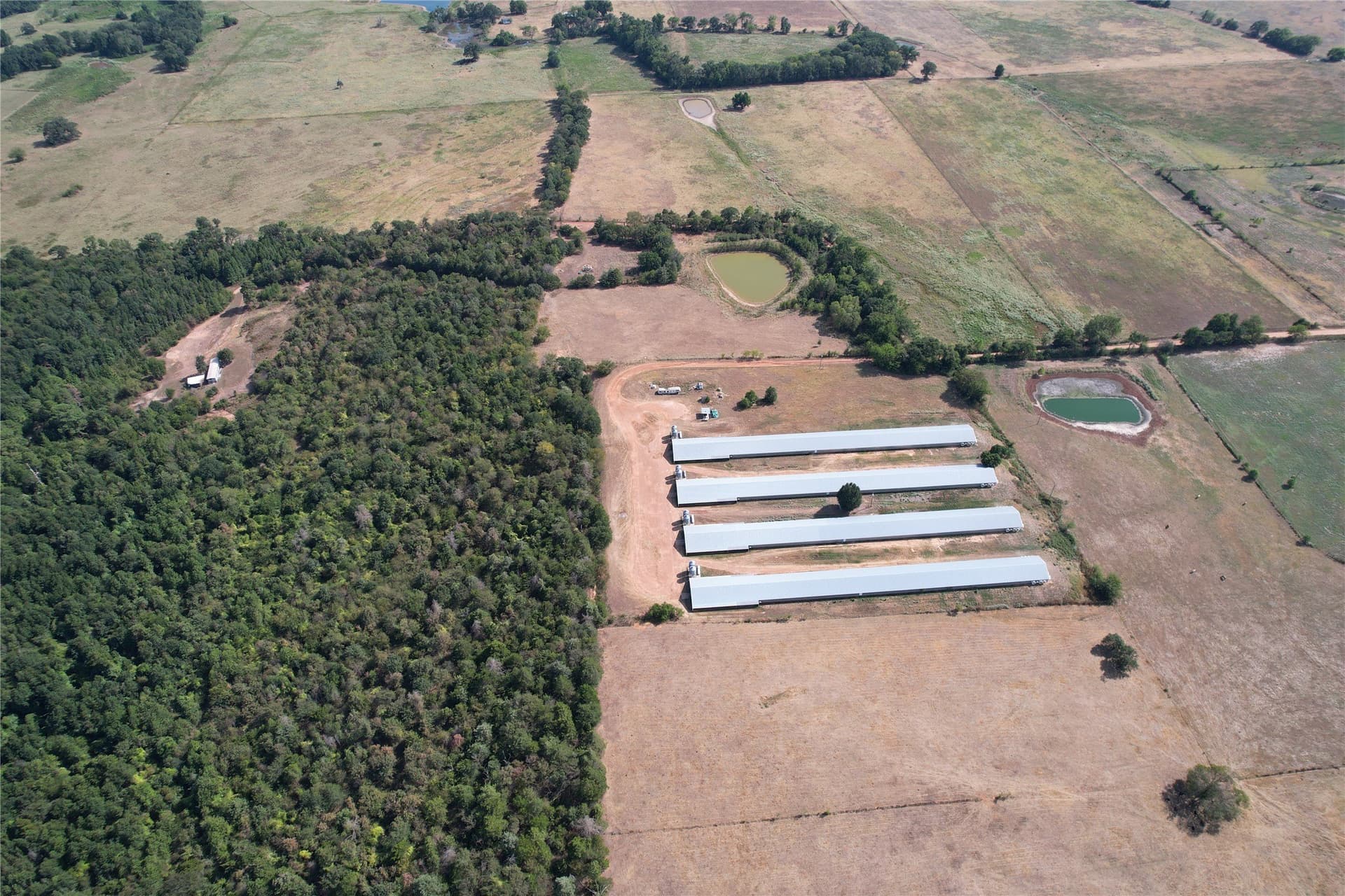 18.93 acres in Wood County - photo 9