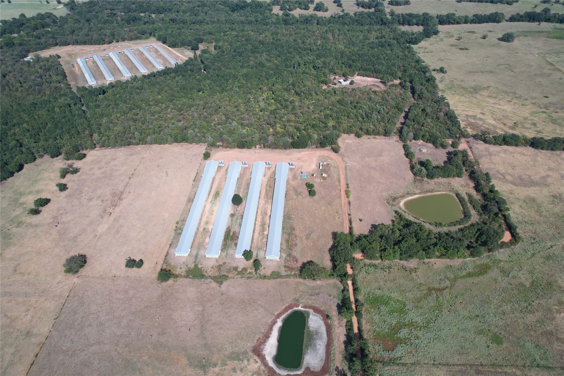 18.93 acres in Wood County - photo 11