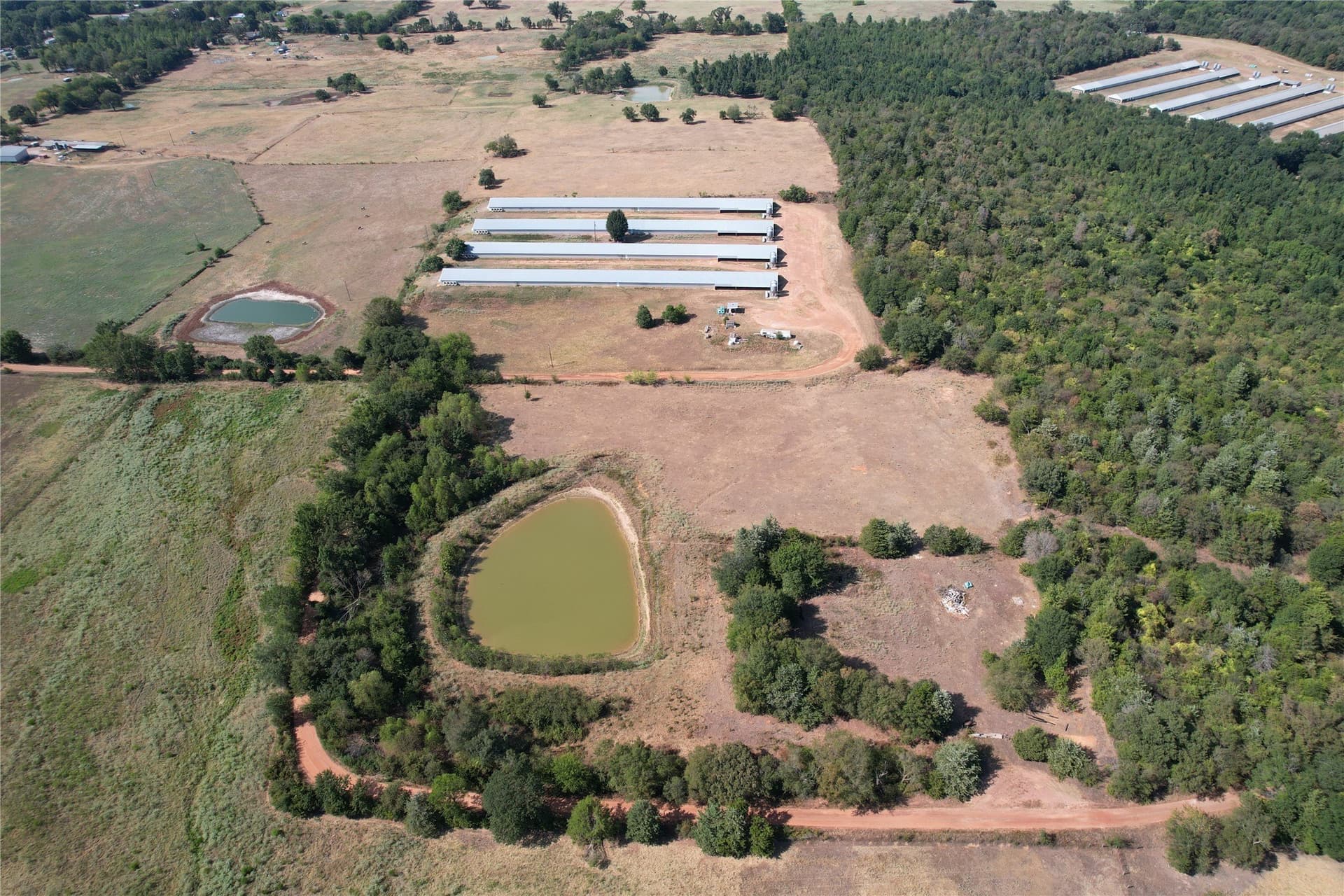 18.93 acres in Wood County - photo 4