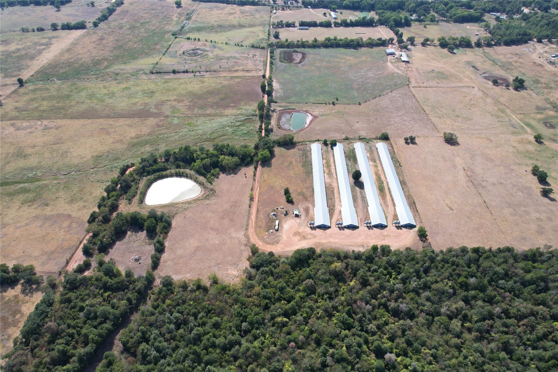 18.93 acres in Wood County - photo 7
