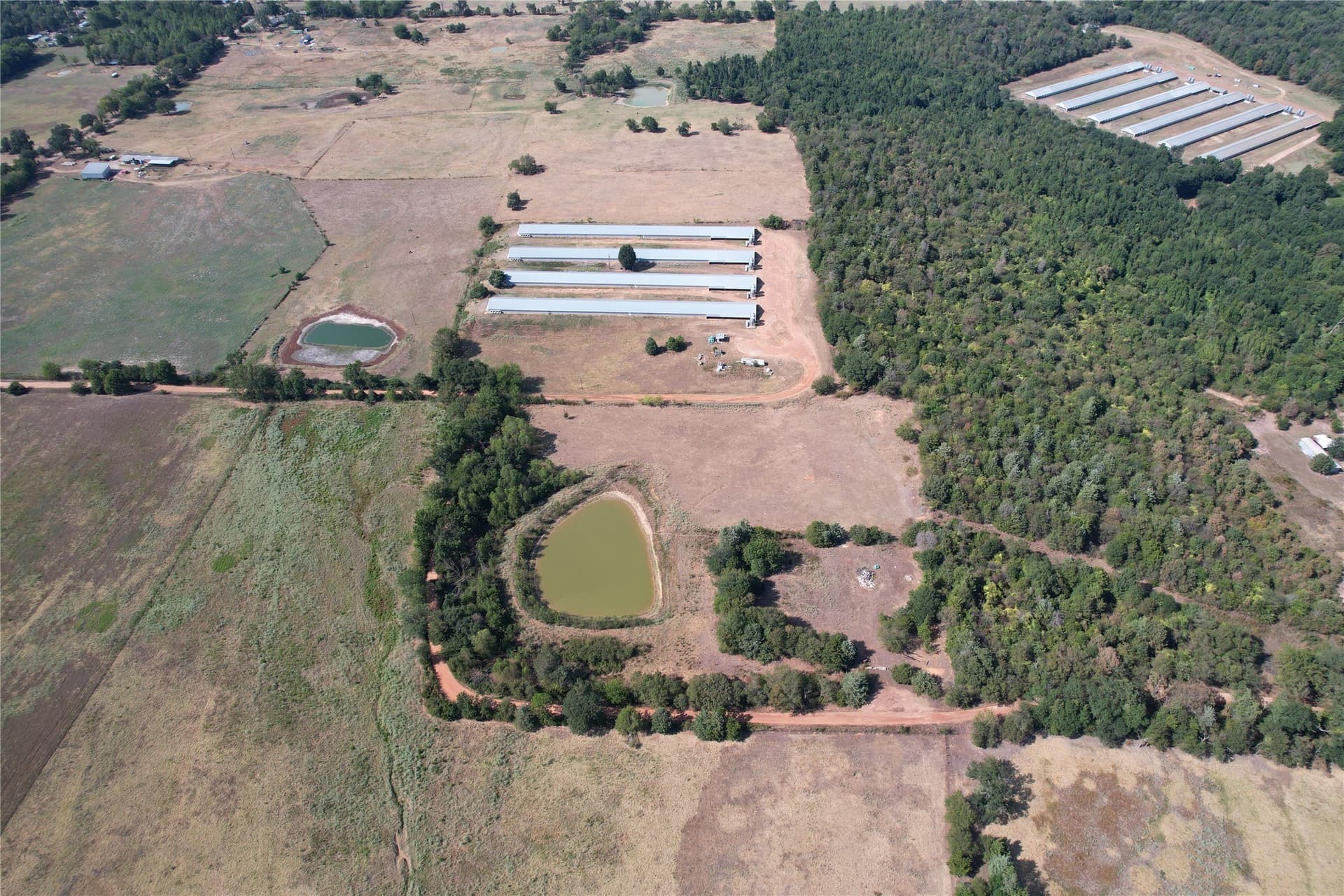18.93 acres in Wood County - photo 5