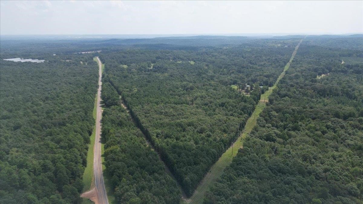 1.83 acres in Upshur County gallery image 4