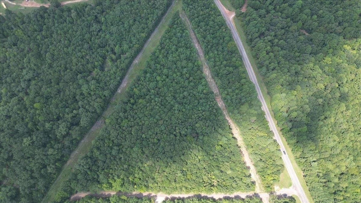 1.83 acres in Upshur County gallery image 2