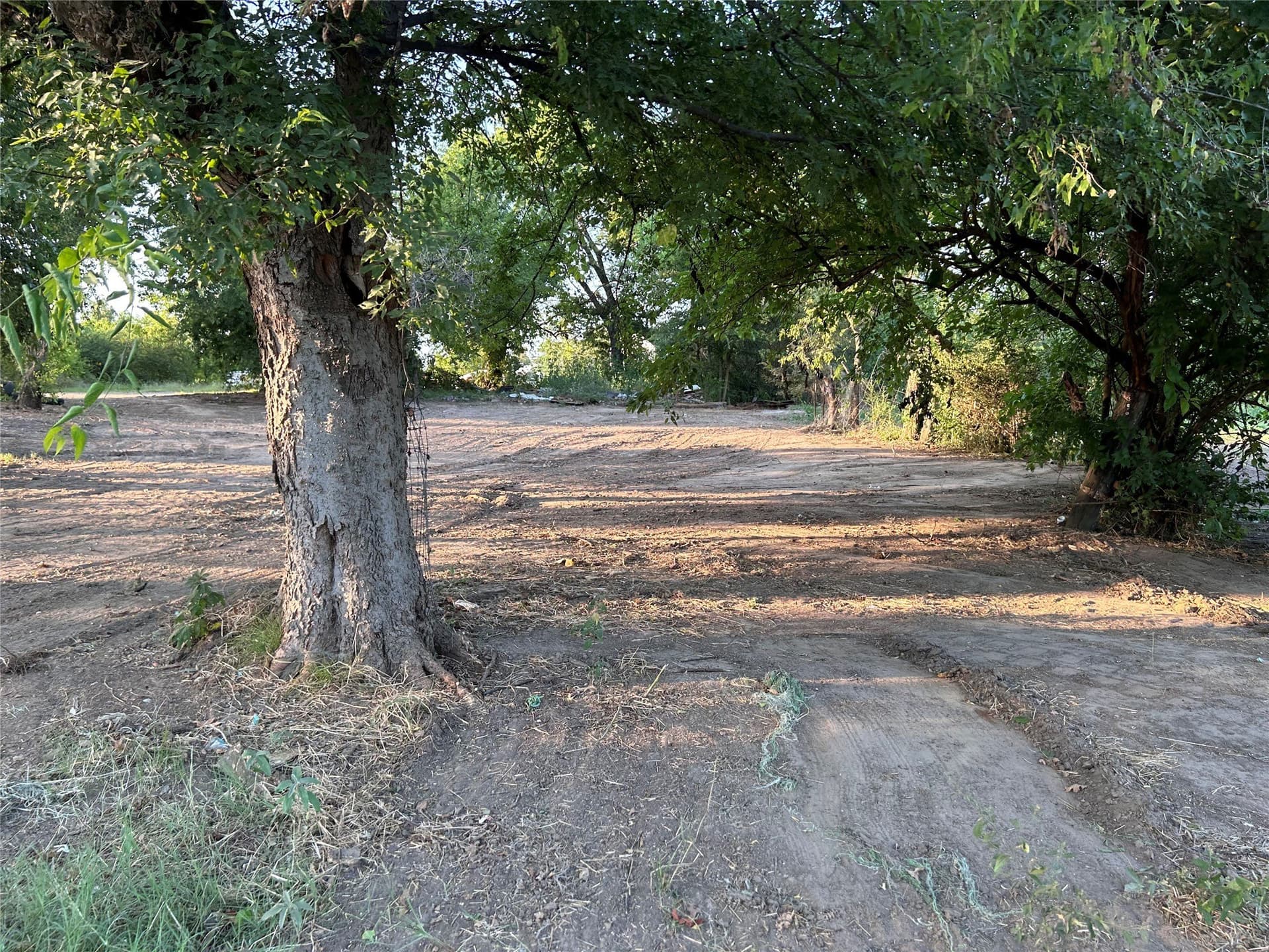 5 acres in Hopkins County - photo 10