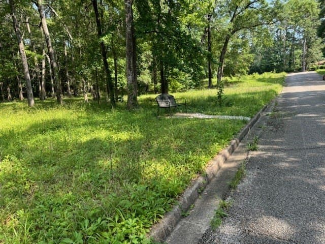 0.57 acres in Texas County featured view