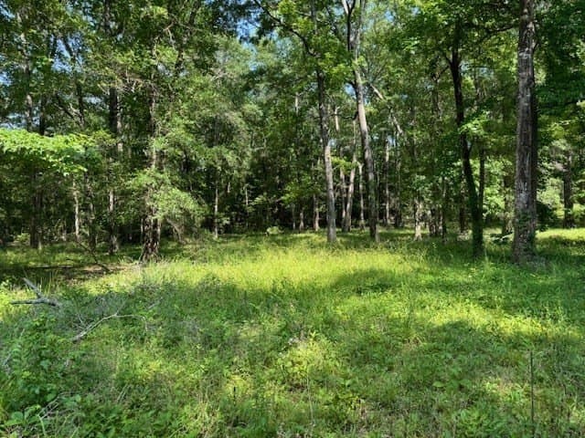 0.57 acres in Texas County gallery image 3