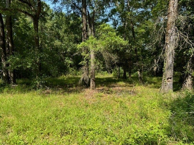 0.57 acres in Texas County gallery image 2