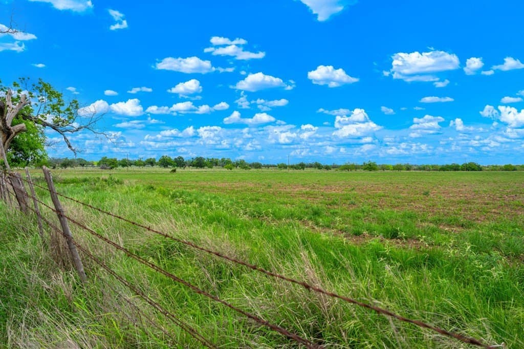 72.42 acres in Gillespie County - photo 13