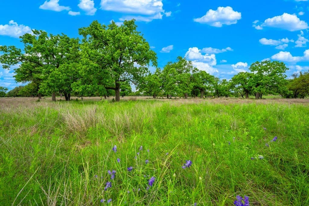 72.42 acres in Gillespie County - photo 9