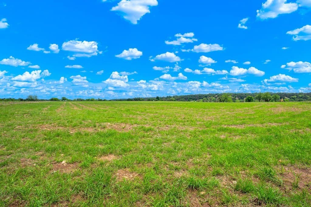 72.42 acres in Gillespie County - photo 14