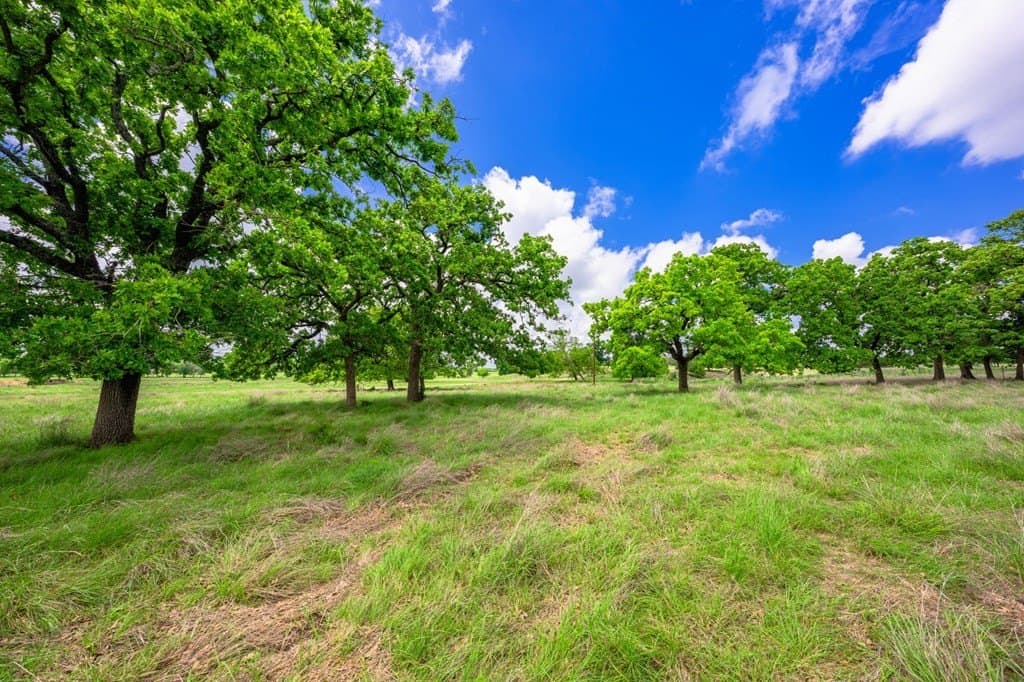 72.42 acres in Gillespie County - photo 7