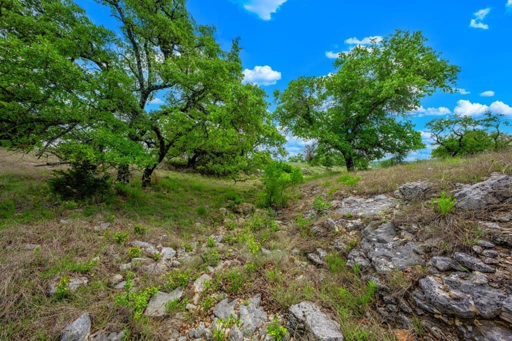 72.42 acres in Gillespie County - photo 11
