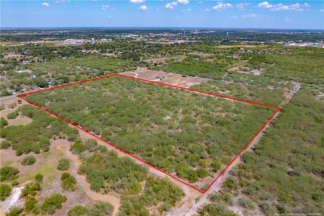 20 acres in Jim Wells County gallery image 4