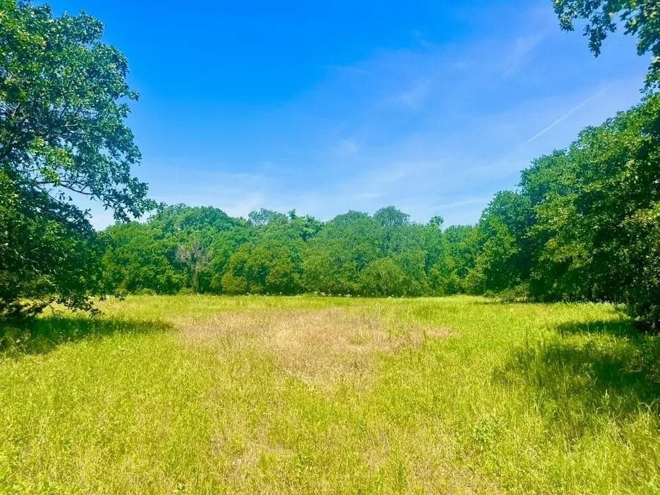 2 acres in Parker County gallery image 2