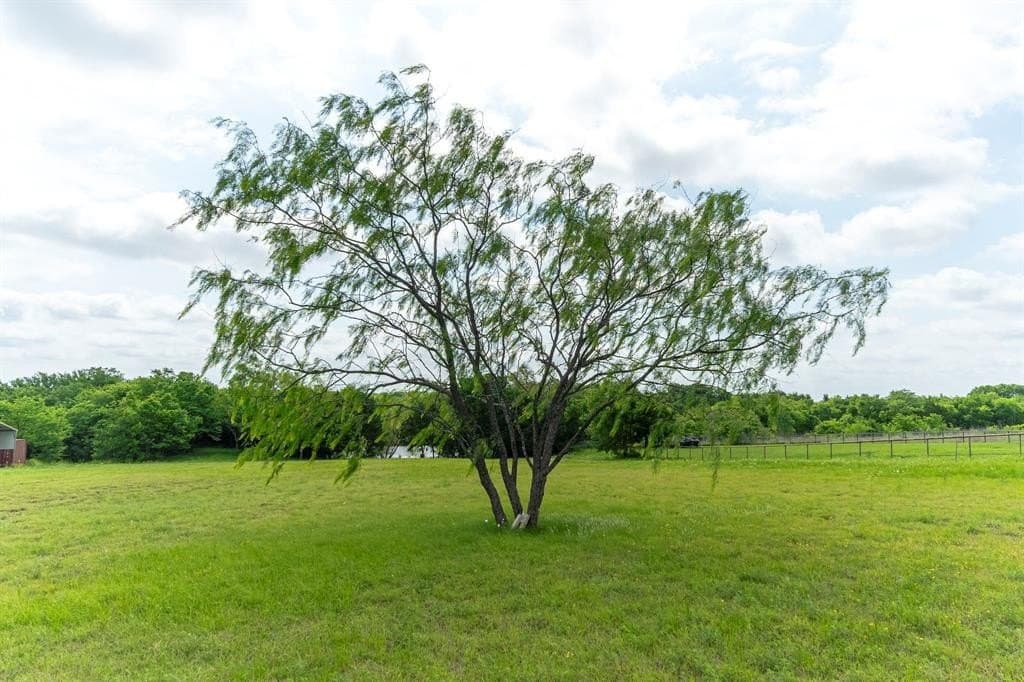 2.5 acres in Ellis County gallery image 4