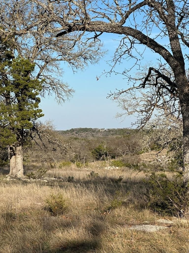 15.07 acres in Gillespie County gallery image 2