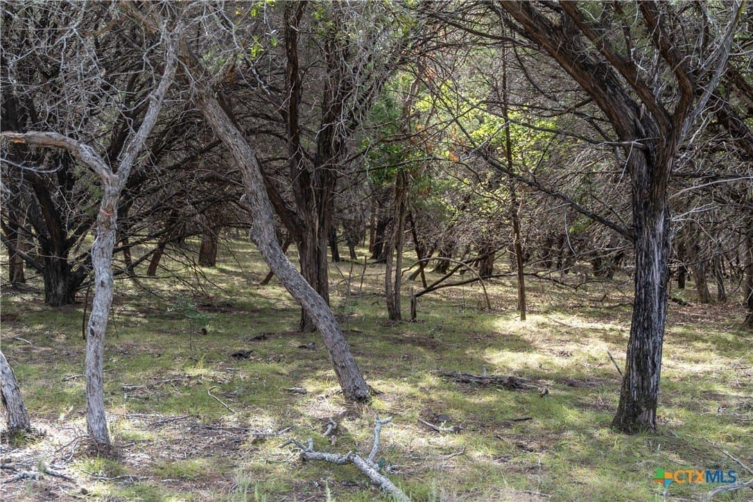 66.99 acres in Bell County - photo 7