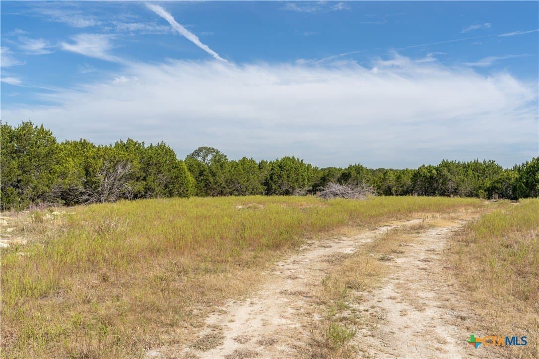 54.2 acres in Bell County gallery image 3