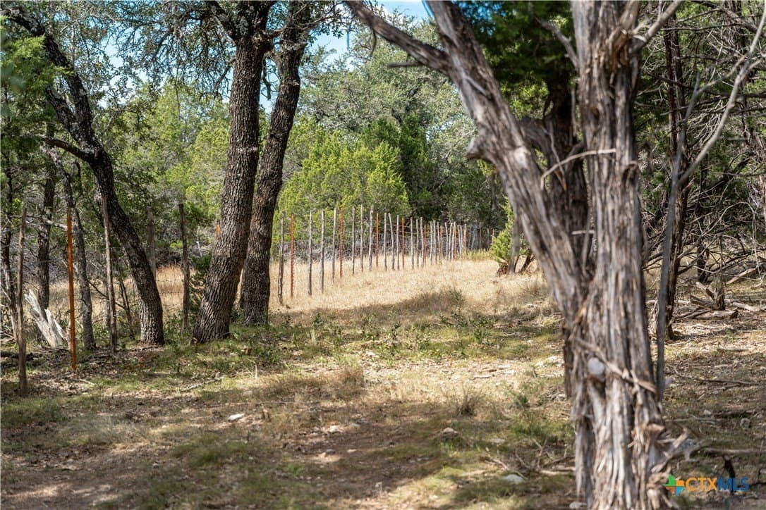 66.99 acres in Bell County - photo 15