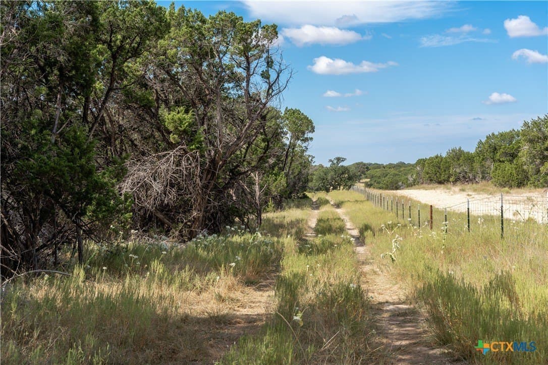 66.99 acres in Bell County - photo 17